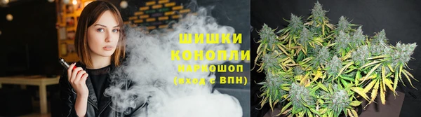 твердый Бородино