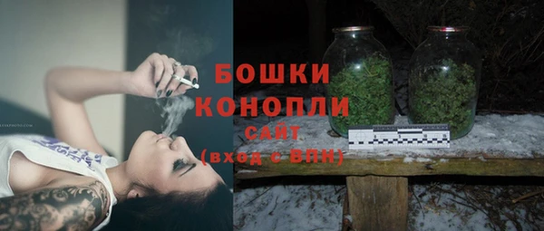 твердый Бородино