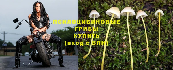 амф Бронницы