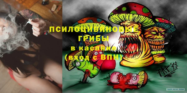 амф Бронницы