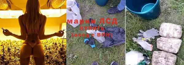 твердый Бородино