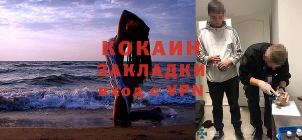 твердый Бородино