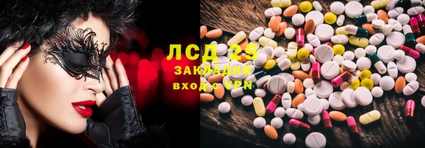 твердый Бородино