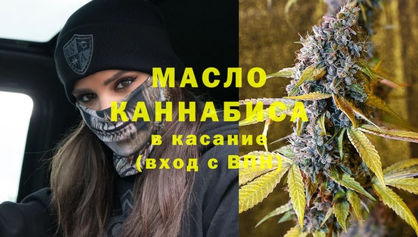 твердый Бородино