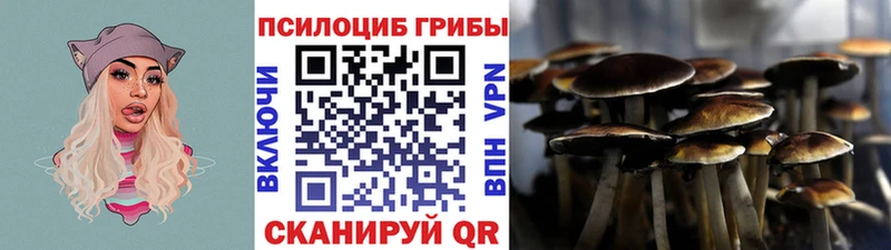 МЕГА зеркало Дубна Псилоцибиновые грибы мицелий